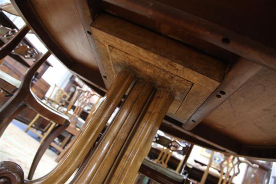 An early Victorian birds eye maple and rosewood crossbanded circular tilt top table, W.4ft 1in.